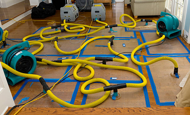 Professional Flood Damage Restoration technician working in Sharon, MS