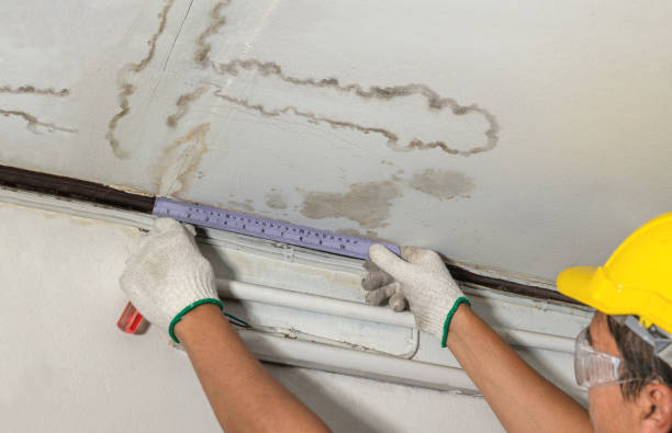 Affordable Water Damage Repair solutions in Sharon, MS